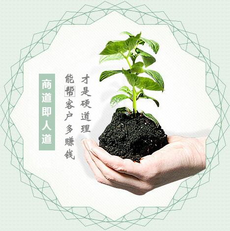 蔬菜種子經(jīng)營(yíng)，商道即人道