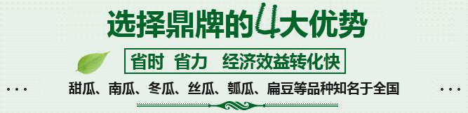 購(gòu)買(mǎi)蔬菜種子，選擇鼎牌的四大優(yōu)勢(shì)