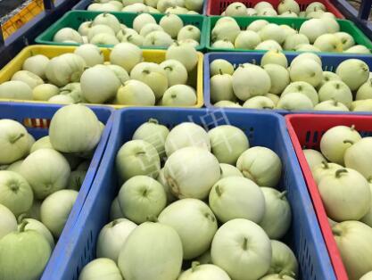 蔬菜種子種植戶客戶點評-5元1斤，這個新品種真香甜！