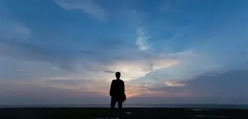 雇工難、成本高，想種甜瓜怎么辦？