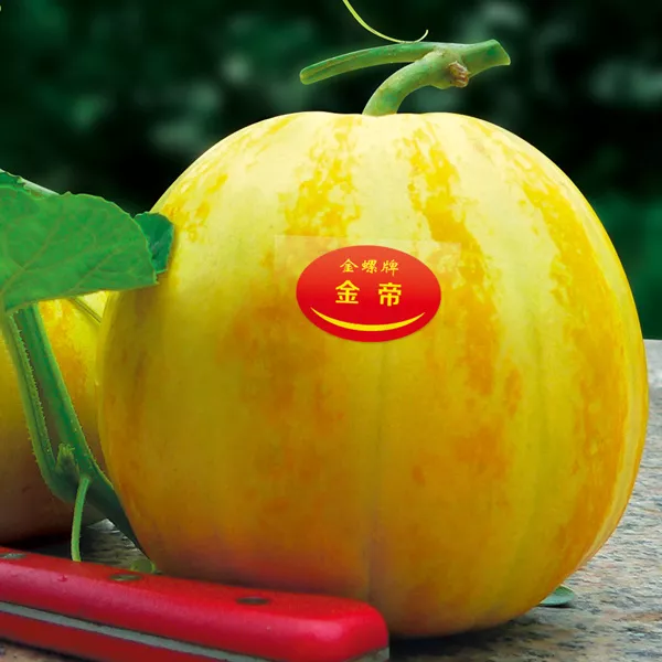 薄皮甜瓜，哪個(gè)品種最好呢？畝產(chǎn)高達(dá)10萬(wàn)，附4種市場(chǎng)爆款品種