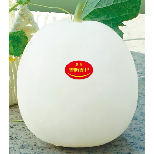 薄皮甜瓜，哪個(gè)品種最好呢？畝產(chǎn)高達(dá)10萬(wàn)，附4種市場(chǎng)爆款品種