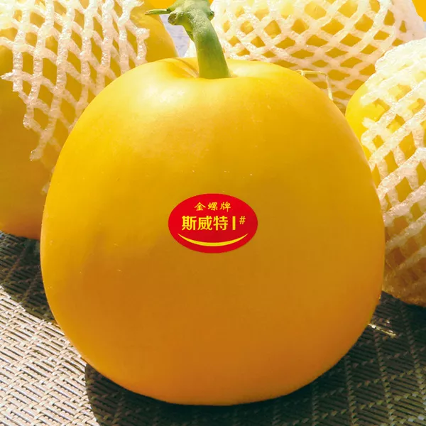 薄皮甜瓜，哪個(gè)品種最好呢？畝產(chǎn)高達(dá)10萬(wàn)，附4種市場(chǎng)爆款品種