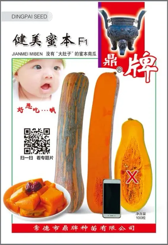 3元1斤的健美蜜本南瓜快成熟了，緬甸種植戶發(fā)來圖片與視頻