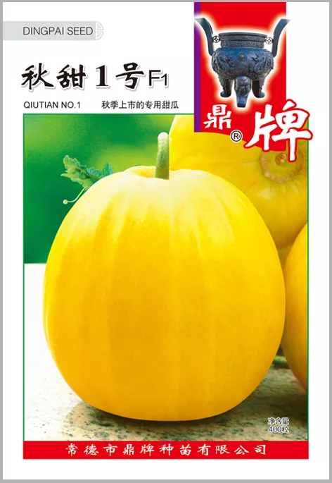 高溫季節(jié)種植甜瓜，什么品種最好？這個品種是秋季上市的專用品種