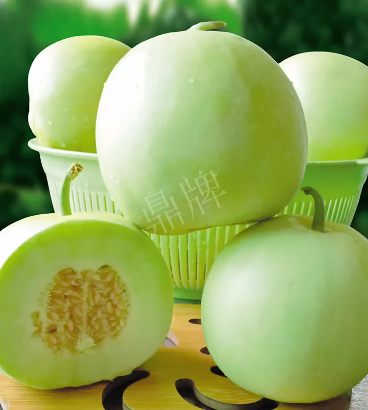 7元一斤還遭瘋搶，畝收益超2萬元！到底什么甜瓜能這么牛？