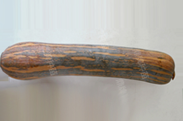 知道最甜最面的南瓜品種嗎？盤點(diǎn)十種有營養(yǎng)的甜面南瓜...