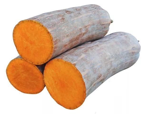 生吃都好吃南瓜新品種，沒有大肚子，肉質(zhì)更密致，農(nóng)戶試種下