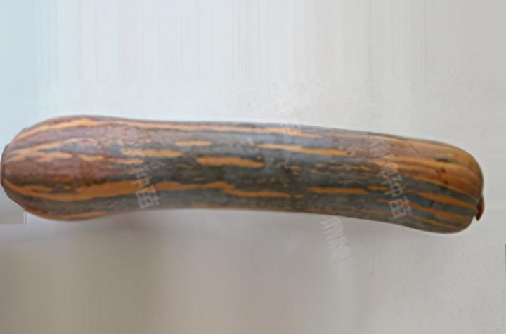 2020年，市面上的南瓜品種哪個口感最好、最甜、最值得種植？