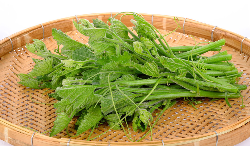 種這種綠葉菜，栽培輕松，畝產(chǎn)值過(guò)萬(wàn)元，菜農(nóng)表示很劃算