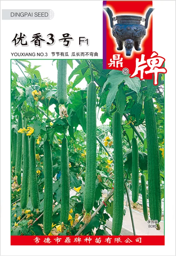 它是絲瓜種植戶的新選擇，節(jié)節(jié)有瓜，瓜長(zhǎng)而不彎曲