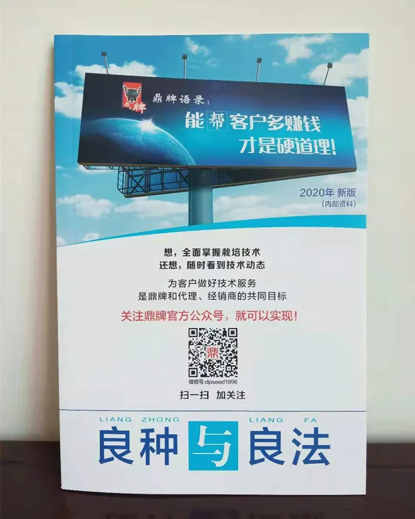 河南焦作的李向林今年種植甜瓜新品種，客戶直接拉貨走人