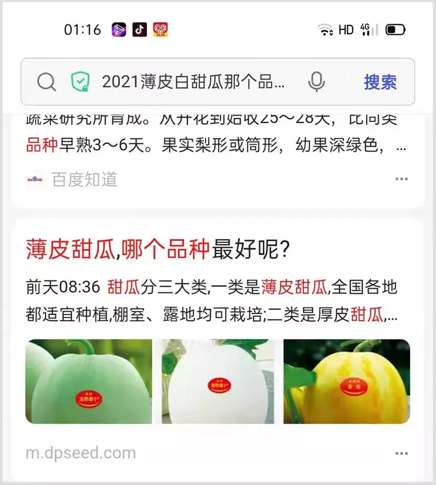 河南焦作的李向林今年種植甜瓜新品種，客戶直接拉貨走人