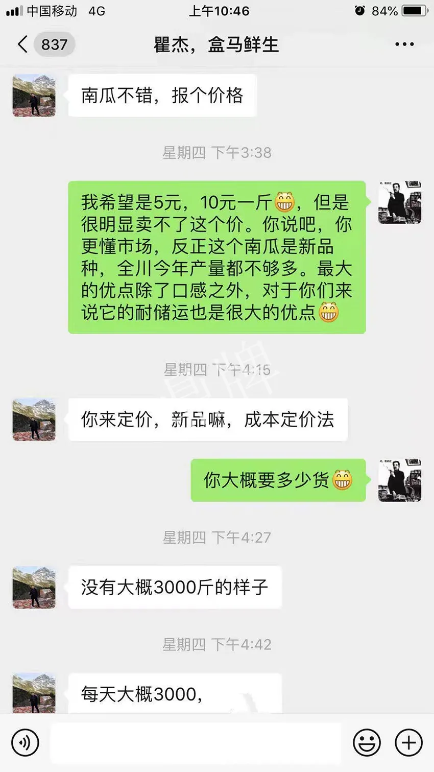 四川農(nóng)戶今年種“健美蜜本”南瓜產(chǎn)量高，品質(zhì)好，感覺(jué)巴適得很