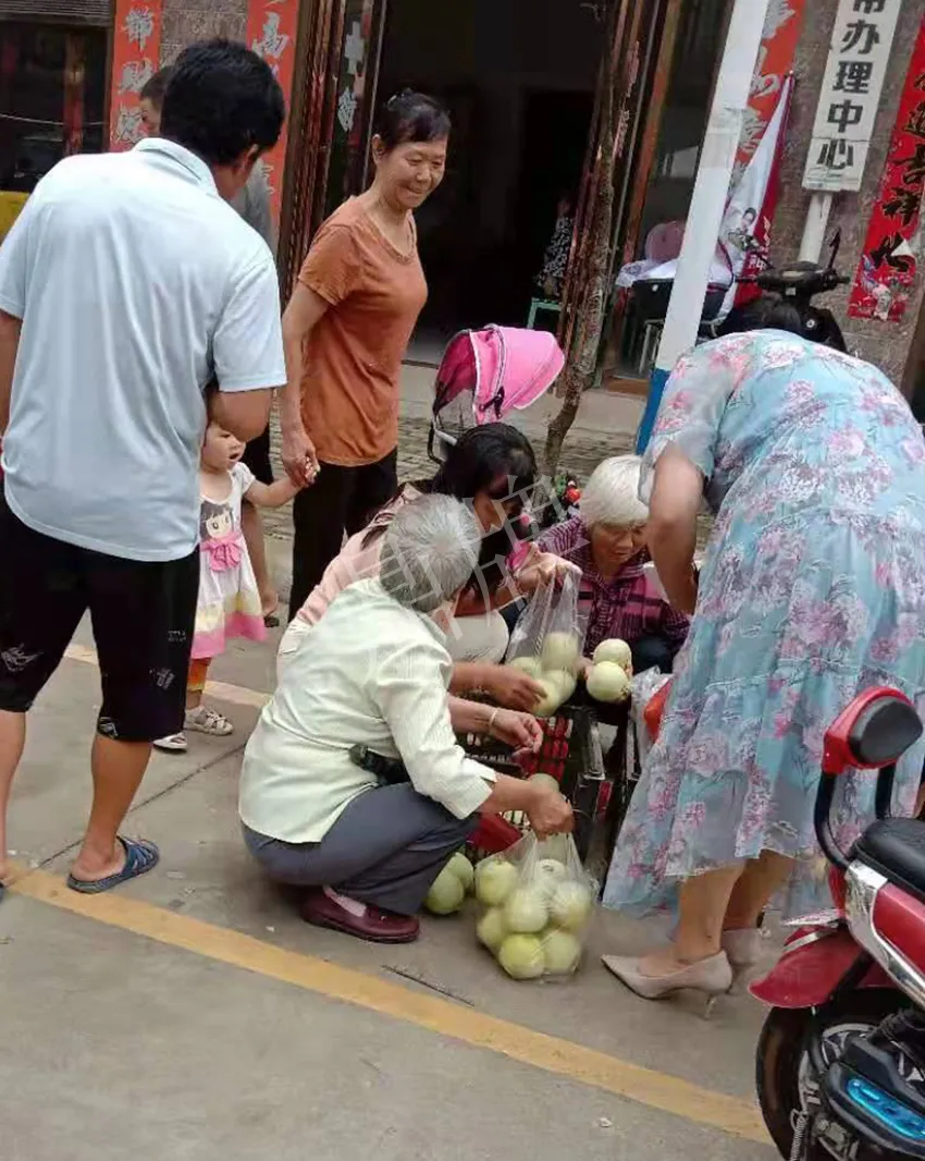 其他品種的甜瓜2塊1斤都賣不動(dòng)，我的玉奶香2號(hào)甜瓜2塊5直接搶