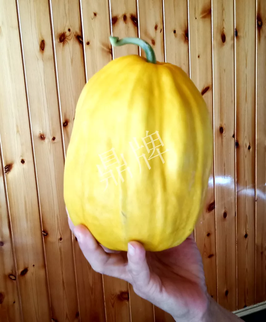 婁底瓜農(nóng)純賺50萬，我這個“張大膽”榮光了一把