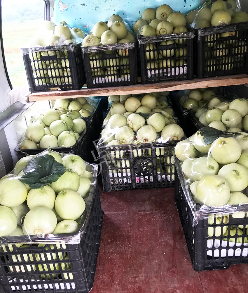 郴州農(nóng)戶種植新品種，果實(shí)又香又甜，很好賣