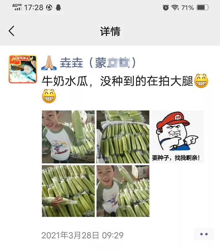 這個(gè)絲瓜每畝能掙3萬(wàn)，沒(méi)種植的農(nóng)戶(hù)后悔得拍大腿