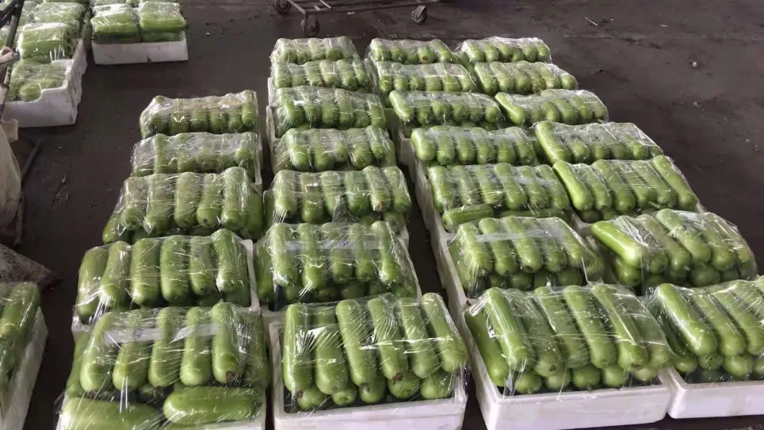 這個(gè)品種上市早，價(jià)格好！我連續(xù)種了三年，滿意