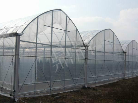 蔬菜種子種植戶客戶點評-鼎牌瓠瓜上市早，地頭批發(fā)價達到8元/斤，種植基地王老板告訴您！