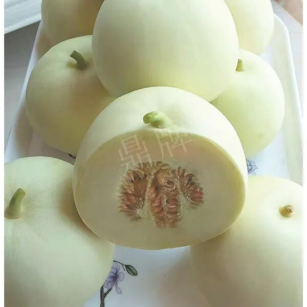 蔬菜種子種植戶(hù)種植心得-這個(gè)品種幫我留一些，4月份我們當(dāng)?shù)剡€要種一批