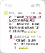 蔬菜種子種植戶客戶點(diǎn)評(píng)-“氣死白糖，甜過(guò)初戀”，您知道或體驗(yàn)過(guò)這句話嗎